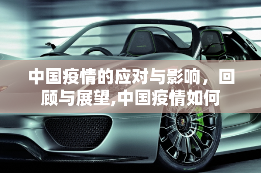 中国疫情的应对与影响，回顾与展望,中国疫情如何