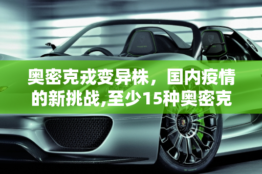 奥密克戎变异株，国内疫情的新挑战,至少15种奥密克戎变异株现身国内