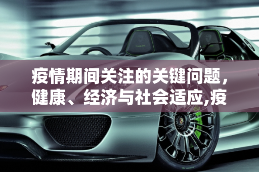 疫情期间关注的关键问题，健康、经济与社会适应,疫情期间应关注哪些关键问题？