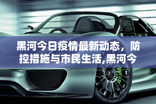 黑河今日疫情最新动态，防控措施与市民生活,黑河今日疫情最新