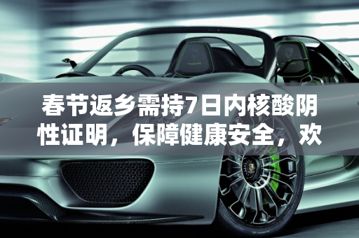 春节返乡需持7日内核酸阴性证明，保障健康安全，欢度祥和佳节,春节返乡需持7日内核酸阴性证明