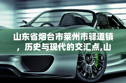 山东省烟台市莱州市驿道镇，历史与现代的交汇点,山东省烟台市莱州市驿道镇