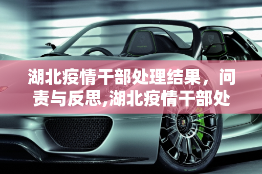 湖北疫情干部处理结果，问责与反思,湖北疫情干部处理结果