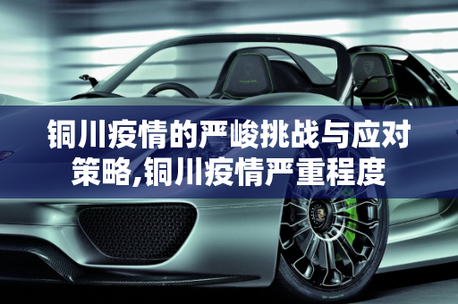 铜川疫情的严峻挑战与应对策略,铜川疫情严重程度