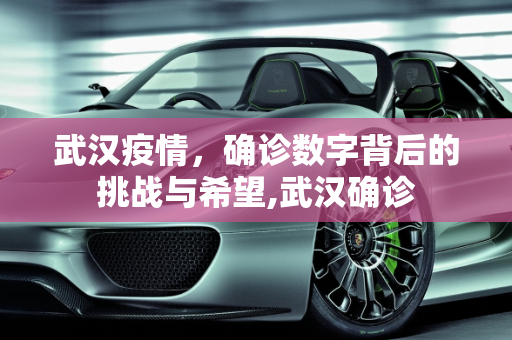 武汉疫情，确诊数字背后的挑战与希望,武汉确诊