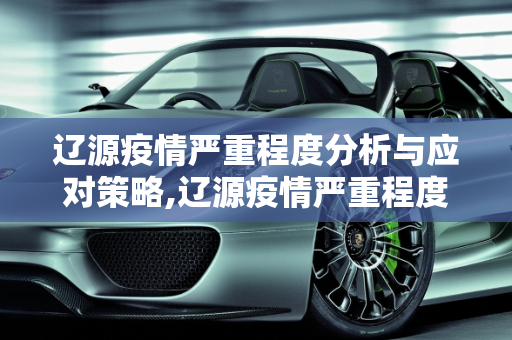 辽源疫情严重程度分析与应对策略,辽源疫情严重程度