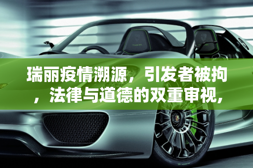 瑞丽疫情溯源，引发者被拘，法律与道德的双重审视,引发瑞丽疫情者被拘