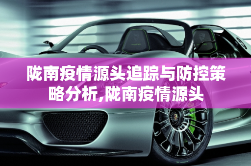 陇南疫情源头追踪与防控策略分析,陇南疫情源头