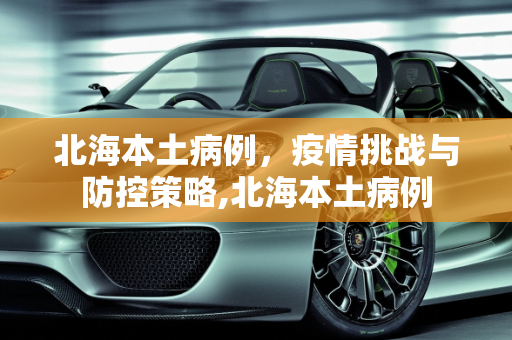 北海本土病例，疫情挑战与防控策略,北海本土病例