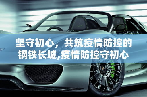 坚守初心，共筑疫情防控的钢铁长城,疫情防控守初心