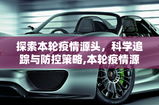 探索本轮疫情源头，科学追踪与防控策略,本轮疫情源头在哪儿